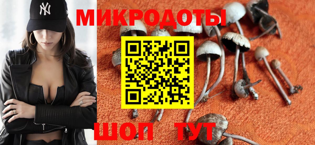 Осинники  Галлюциногенные грибы прущие грибы  купить закладку  Вход с VPN  Галлюциногенные грибы Psilocybine cubensis 