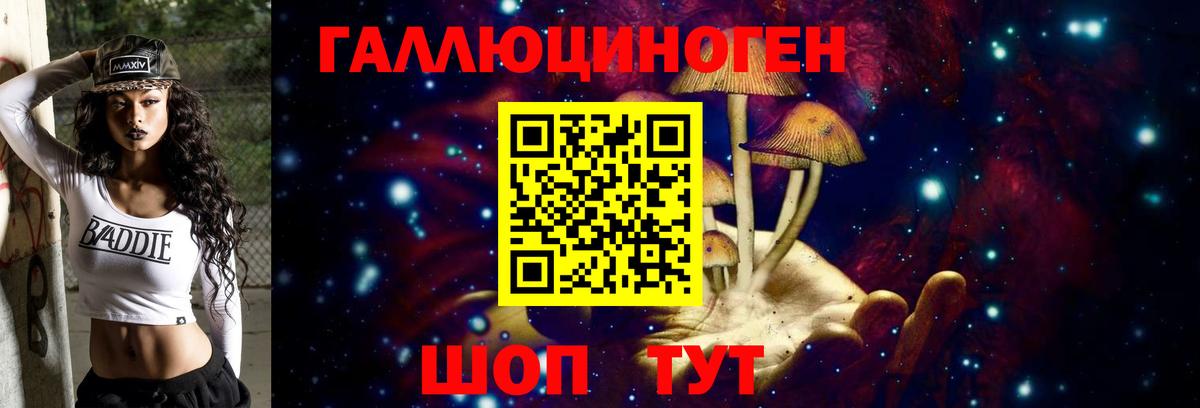 Псилоцибиновые грибы Cubensis Осинники